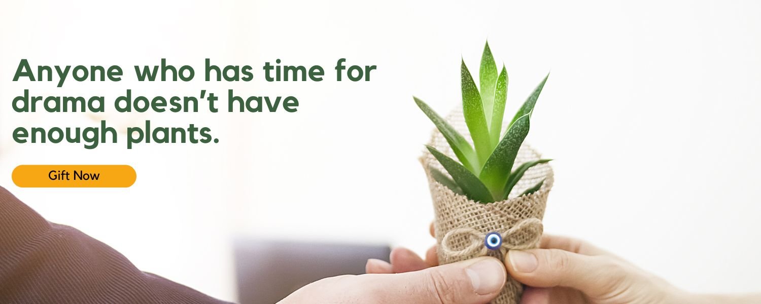enough plants