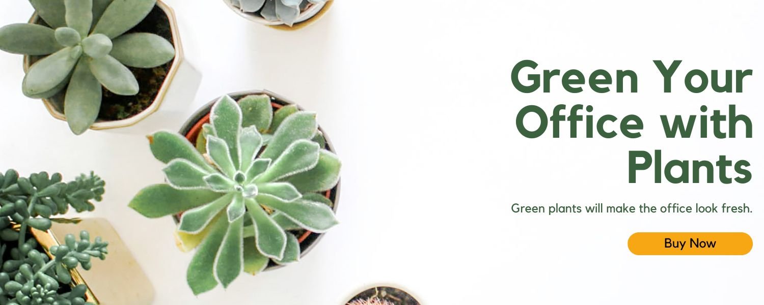 green office