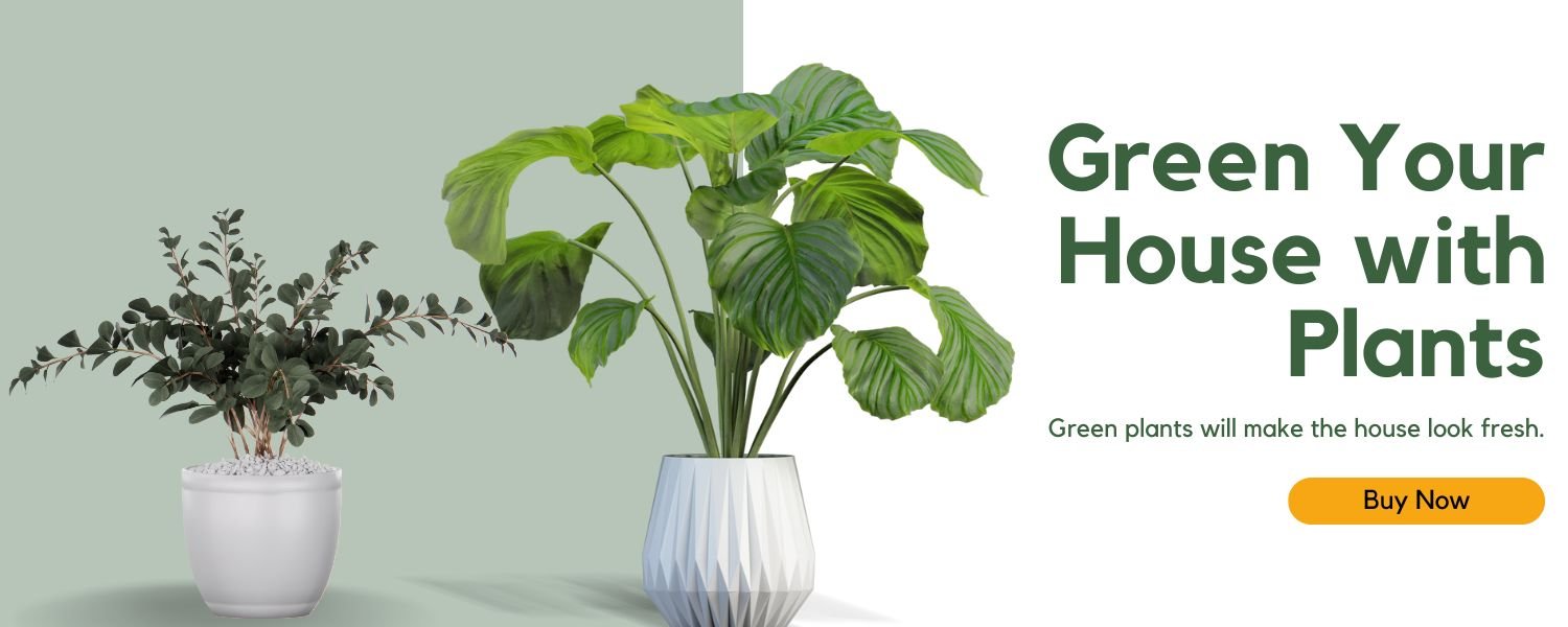 green plants